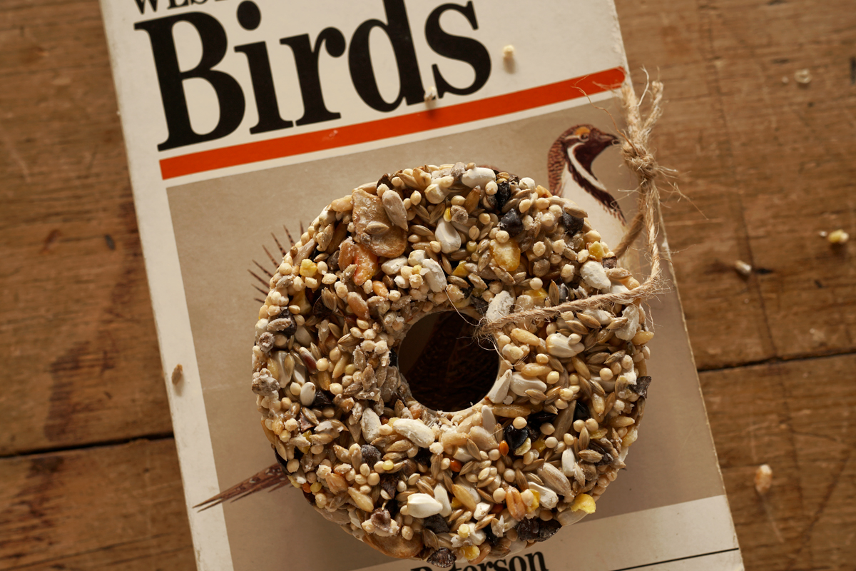 DIY Winter Bird Seed Feeders (gelatin free) Woodlark Blog