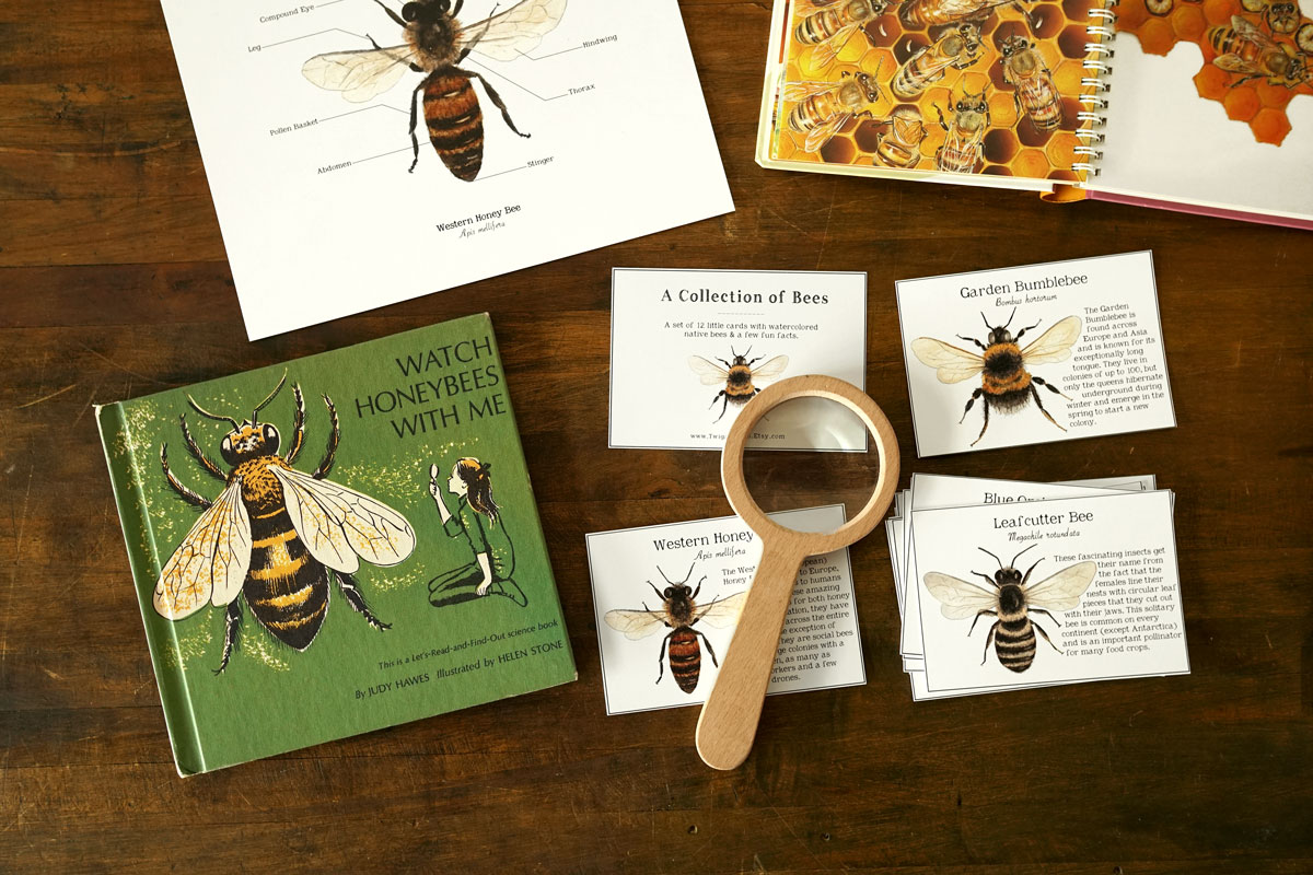 Our Nature-Based Homeschool Curriculum And Resource Picks: Preschool ...