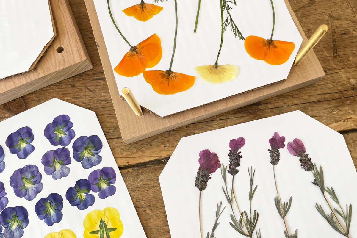 How To Make A Diy Flower Press Woodlark Blog